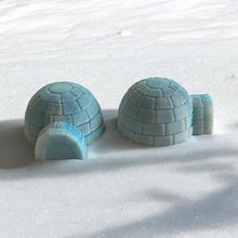 Load image into Gallery viewer, 3D Igloo Duo