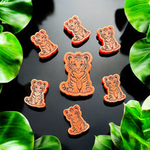 Load image into Gallery viewer, Tiger CHUNKIES & Mini