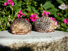 Load image into Gallery viewer, 3D Hedgehog Duo