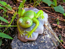 Load image into Gallery viewer, 3D Frog On A Rock Duo