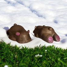 Load image into Gallery viewer, 3D Bear Duo