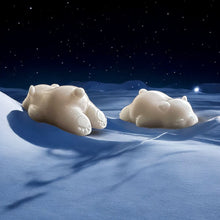 Load image into Gallery viewer, 3D Bear Duo