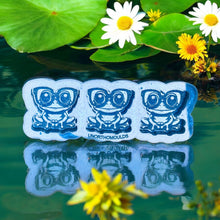 Load image into Gallery viewer, Frog With Glasses Trio