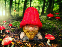 Load image into Gallery viewer, 3D Mushroom Man Duo