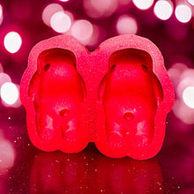 Load image into Gallery viewer, 3D Bear Duo