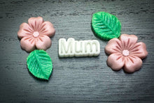 Load image into Gallery viewer, 3D Mum Scoopie (49 Cell)