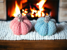 Load image into Gallery viewer, 3D Knitted Pumpkin Duo