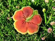 Load image into Gallery viewer, 3D Hibiscus Flower Mini