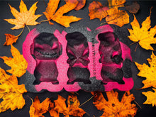 Load image into Gallery viewer, 3D Oogie Boogie Trio