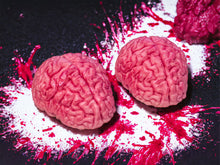 Load image into Gallery viewer, 3D Brain Duo