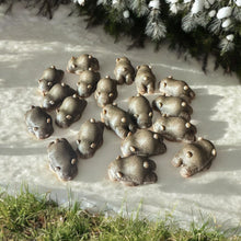 Load image into Gallery viewer, 3D Bear CHUNKIES