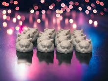 Load image into Gallery viewer, 3D Cat Head ‘CHUNKIES’