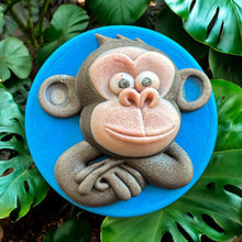 Load image into Gallery viewer, 3D Monkey Duo