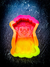Load image into Gallery viewer, Pippa The Flower Pig