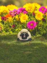 Load image into Gallery viewer, 3D Sheep Duo
