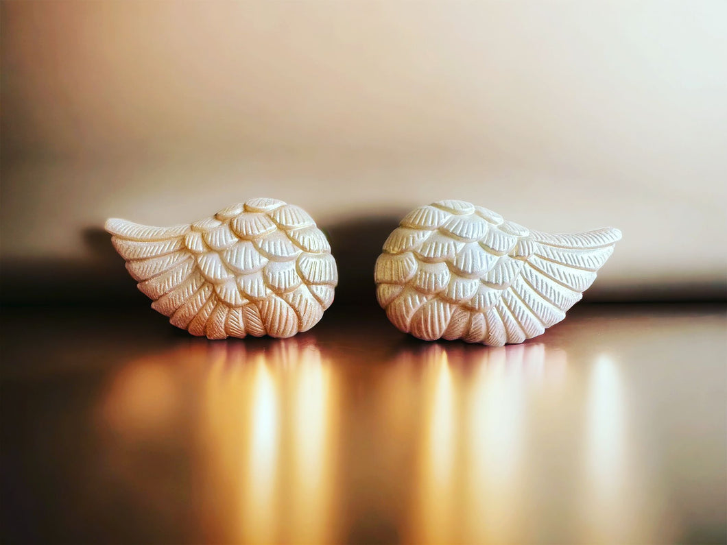 3D Pair of Angel Wings