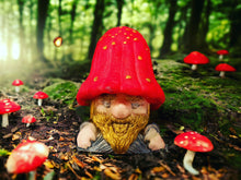 Load image into Gallery viewer, 3D Mushroom Man Duo
