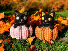 Load image into Gallery viewer, 3D Pumpkin Cat Duo
